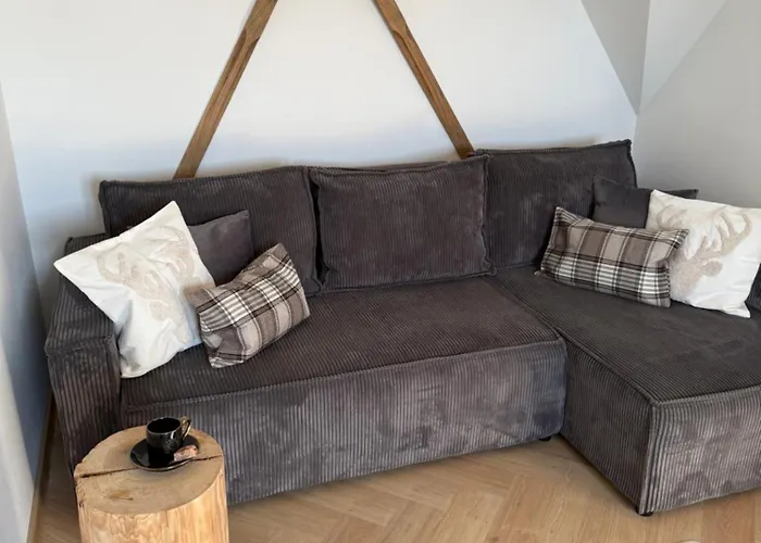 Ski House Czarna Gora- Apartament 50M Od Stoku Narciarskiego